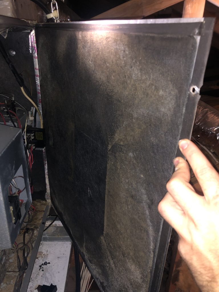 Mold growth on back of air handler casing.