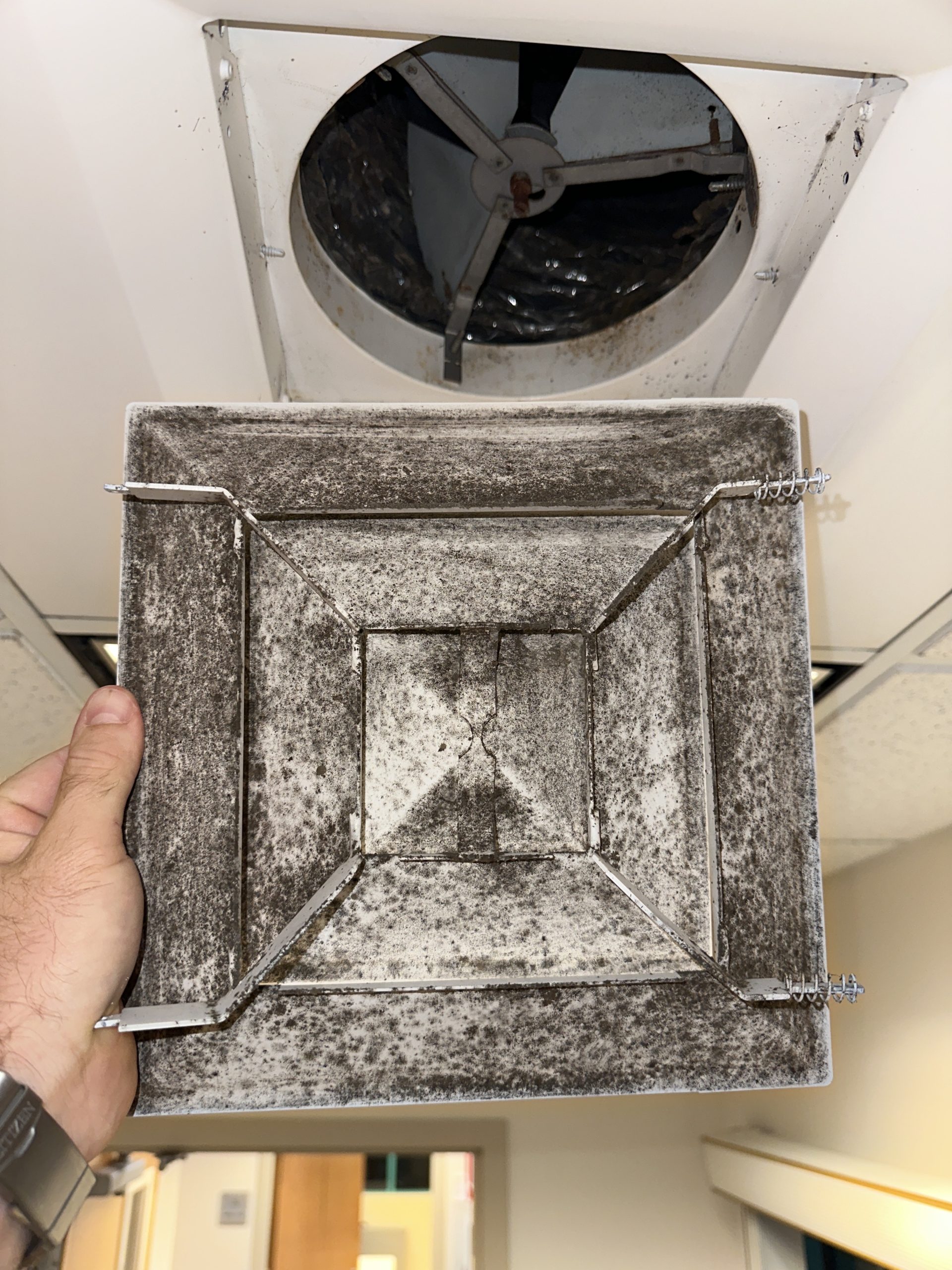 Mold on a duct